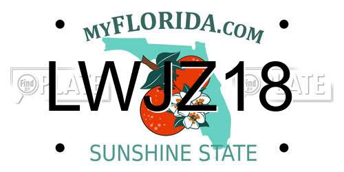 LWJZ18 Florida License Plate