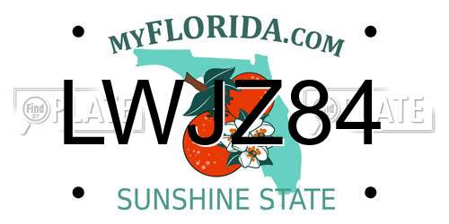 LWJZ84 Florida License Plate
