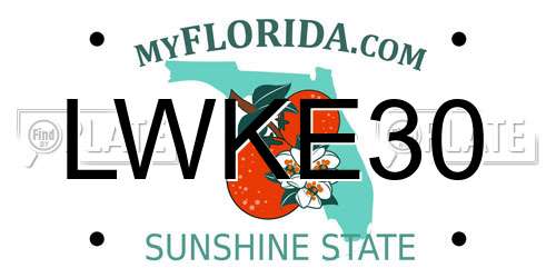 LWKE30 Florida License Plate