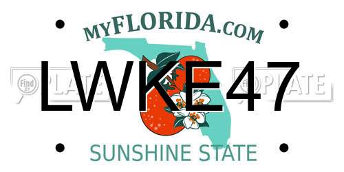 LWKE47 Florida License Plate