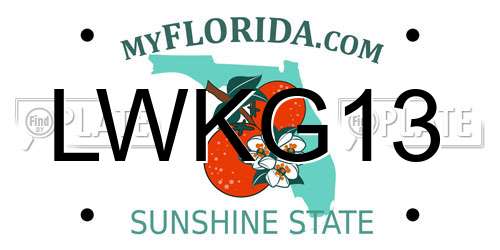 LWKG13 Florida License Plate