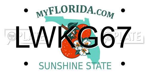 LWKG67 Florida License Plate