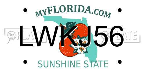 LWKJ56 Florida License Plate
