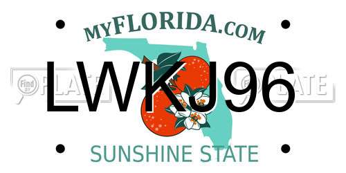 LWKJ96 Florida License Plate