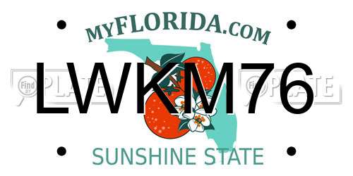 LWKM76 Florida License Plate