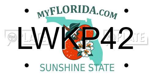 LWKP42 Florida License Plate