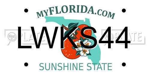 LWKS44 Florida License Plate