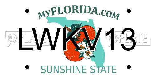 LWKV13 Florida License Plate