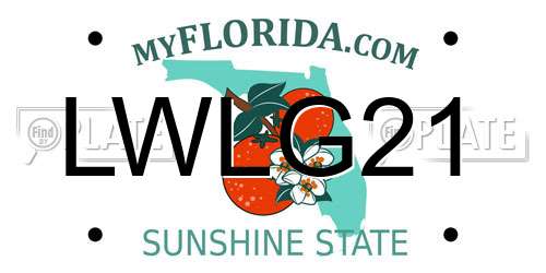 LWLG21 Florida License Plate