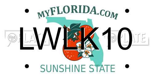 LWLK10 Florida License Plate