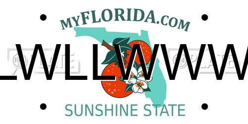 LWLLWWW Florida License Plate