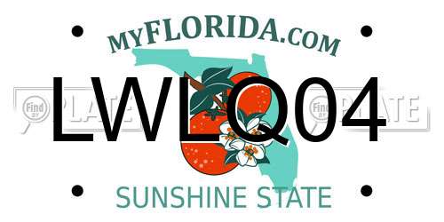 LWLQ04 Florida License Plate