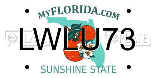 LWLU73 Florida License Plate
