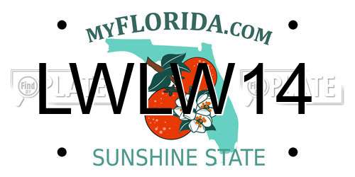 LWLW14 Florida License Plate