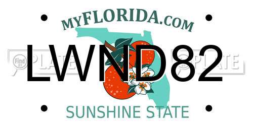 LWND82 Florida License Plate