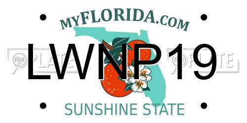 LWNP19 Florida License Plate