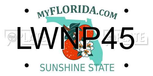 LWNP45 Florida License Plate