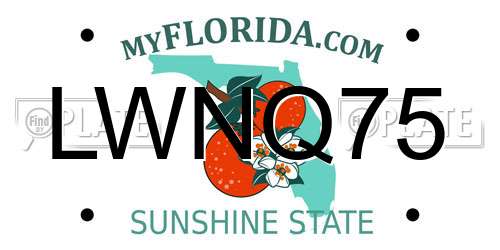 LWNQ75 Florida License Plate