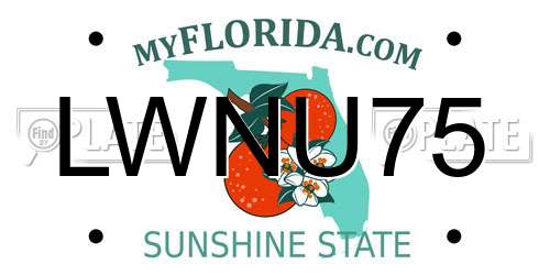 LWNU75 Florida License Plate