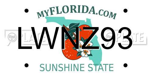 LWNZ93 Florida License Plate