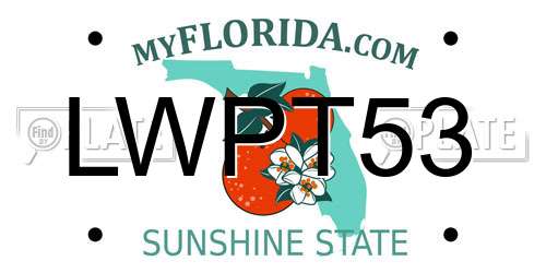 LWPT53 Florida License Plate