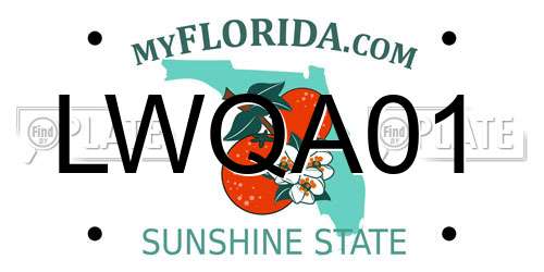 LWQA01 Florida License Plate