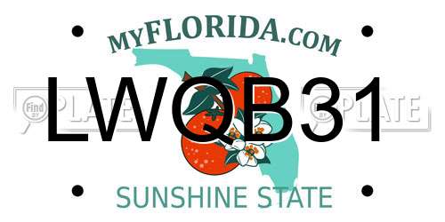 LWQB31 Florida License Plate