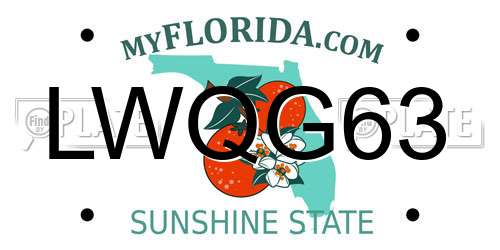 LWQG63 Florida License Plate