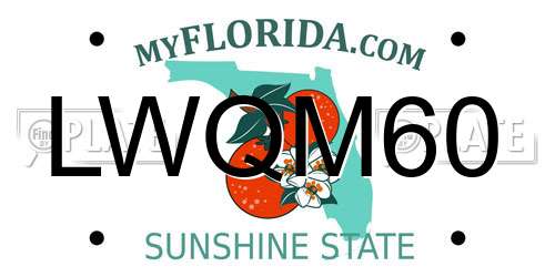 LWQM60 Florida License Plate