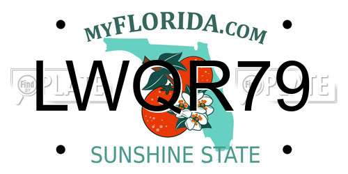 LWQR79 Florida License Plate