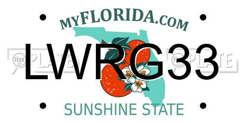 LWRG33 Florida License Plate