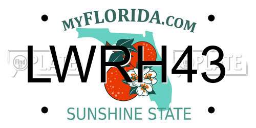LWRH43 Florida License Plate