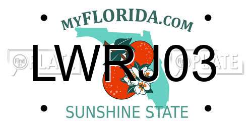 LWRJ03 Florida License Plate