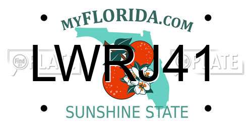 LWRJ41 Florida License Plate