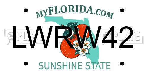 LWRW42 Florida License Plate
