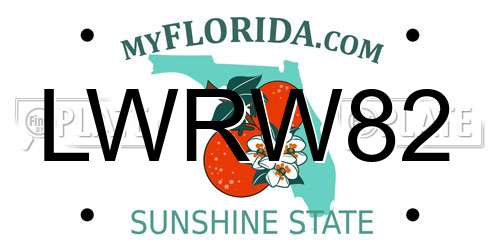 LWRW82 Florida License Plate
