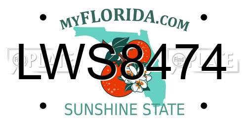 LWS8474 Florida License Plate