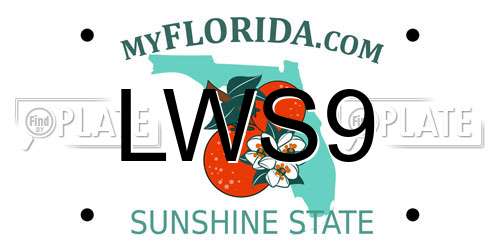 LWS9 Florida License Plate
