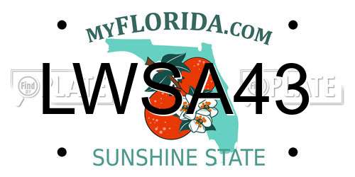 LWSA43 Florida License Plate