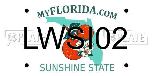 LWSI02 Florida License Plate