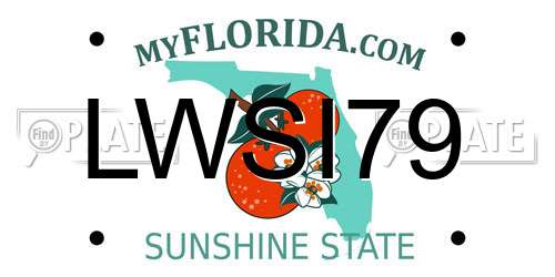 LWSI79 Florida License Plate