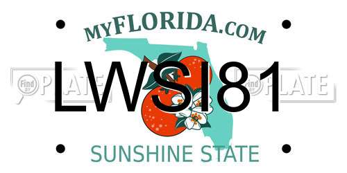 LWSI81 Florida License Plate