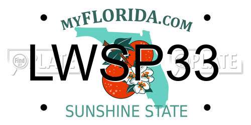 LWSP33 Florida License Plate