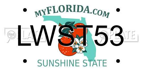 LWST53 Florida License Plate