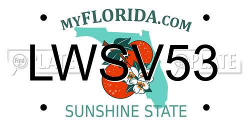 LWSV53 Florida License Plate