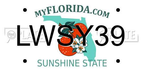 LWSY39 Florida License Plate