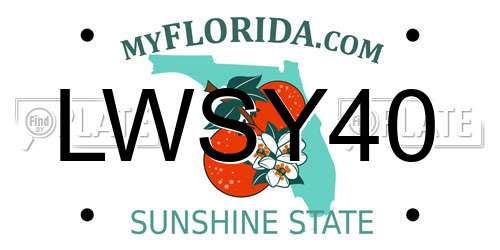 LWSY40 Florida License Plate