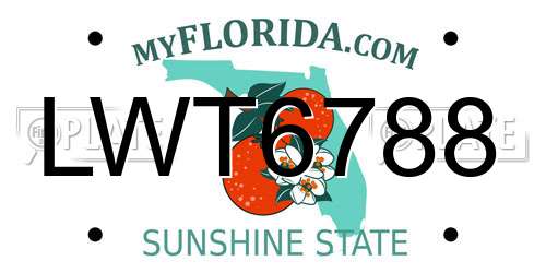 LWT6788 Florida License Plate