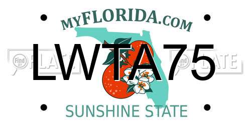 LWTA75 Florida License Plate