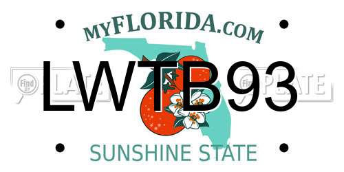 LWTB93 Florida License Plate
